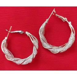 Earrings 27